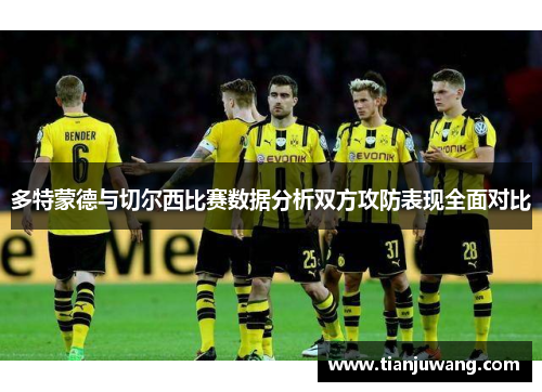 多特蒙德与切尔西比赛数据分析双方攻防表现全面对比