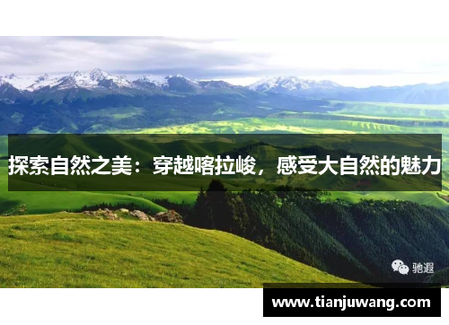 探索自然之美：穿越喀拉峻，感受大自然的魅力