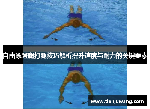 自由泳蹬腿打腿技巧解析提升速度与耐力的关键要素