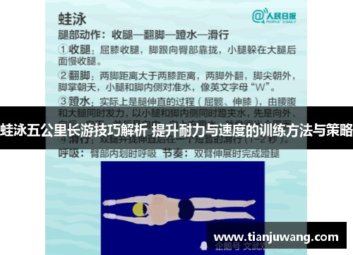 蛙泳五公里长游技巧解析 提升耐力与速度的训练方法与策略