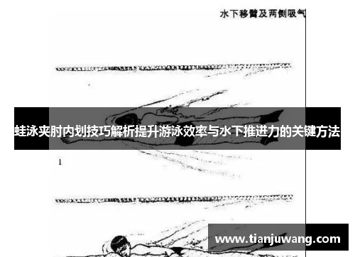 蛙泳夹肘内划技巧解析提升游泳效率与水下推进力的关键方法